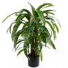 90cm Variegated Artificial Calathea Plant with pot