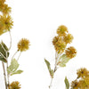 Pack of 6 x 85cm Craspedia Stem Yellow Artificial - Premium Quality