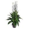 Artificial 100cm Cymbidium Orchid Plant - Extra Large - White Flowers