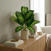 60cm Artificial Dieffenbachia Style Stem Plant Green Variegated Faux Foliage