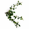 55cm Artificial Trailing Ficus Vine Stem