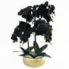 60cm Orchid Artificial Black - Gold Ceramic Planter - Premium Quality