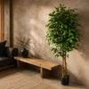 150cm Artificial Ficus Tree