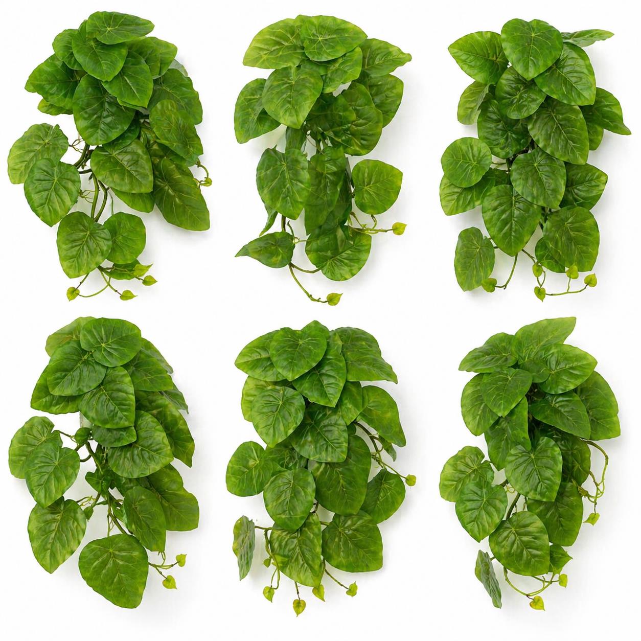 Pack of 6 x 25cm Artificial Trailing Arrowhead Vine Plant