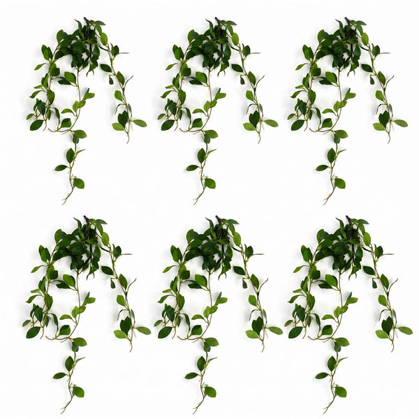 Pack of 6 x 55cm Artificial Trailing Ficus Vine Stem
