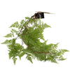 6 x 100cm Artificial Hanging Maidenhair Fern Plant Light Green - Premium Quality