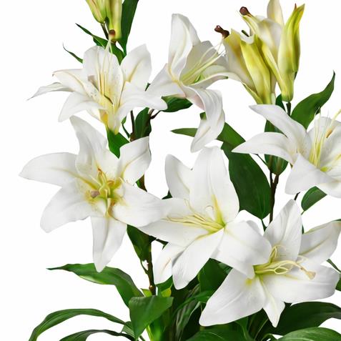 Artificial 90cm (3ft) Lily Stargazer Style Lillies Plant Large Flowers White
