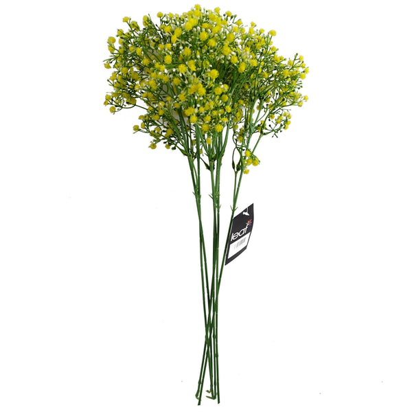 Pack of 6 x 55cm Gypsophila Yellow Stem - Premium Quality