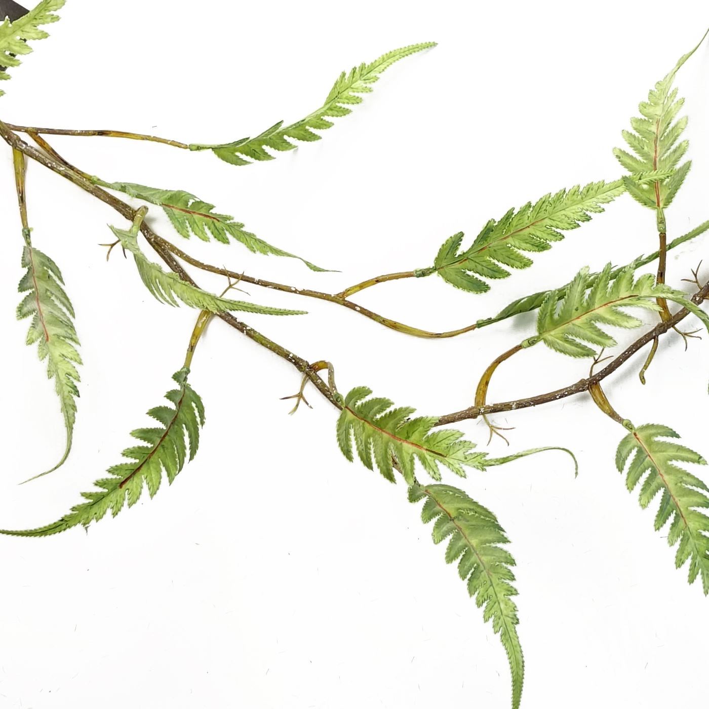6 x 125cm Artificial Hanging Trailing Fern Plant - Premium Quality