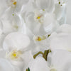 Artificial Deluxe Bush Orchid White 85cm Bush Orchid Lots of Flowers Botanik