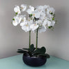 Orchid Artificial White Black Ceramic Planter Botanik