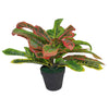40cm Artificial Codiaeum Multicoloured House Plant