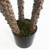 Artificial Yukka Tree Plant Spiky UV Resistant Outdoor Tree Triple Dark Red and Brown Botanik