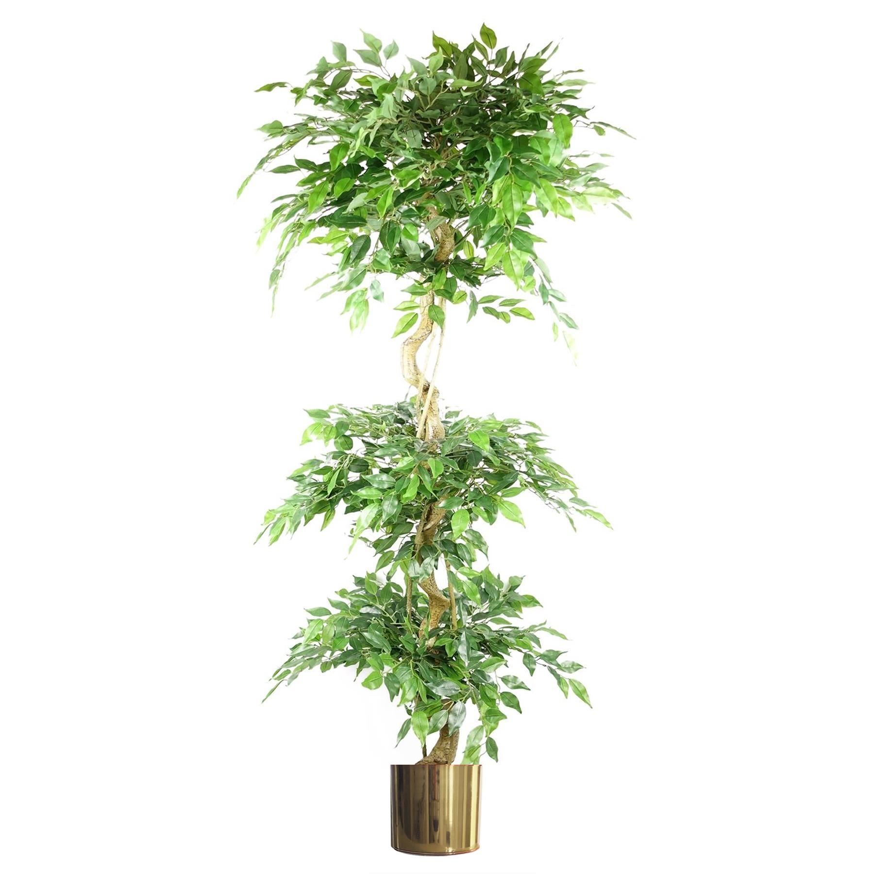 180cm Artificial Twisted Trunk Fruticosa Ficus Tree Triple Ball Topiary 1984 Leaves Gold Metal Planter - Premium Quality