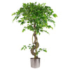 Large Artificial Japanese Fruticosa Ficus Tree Silver 120cm 4ft Realistic Botanik