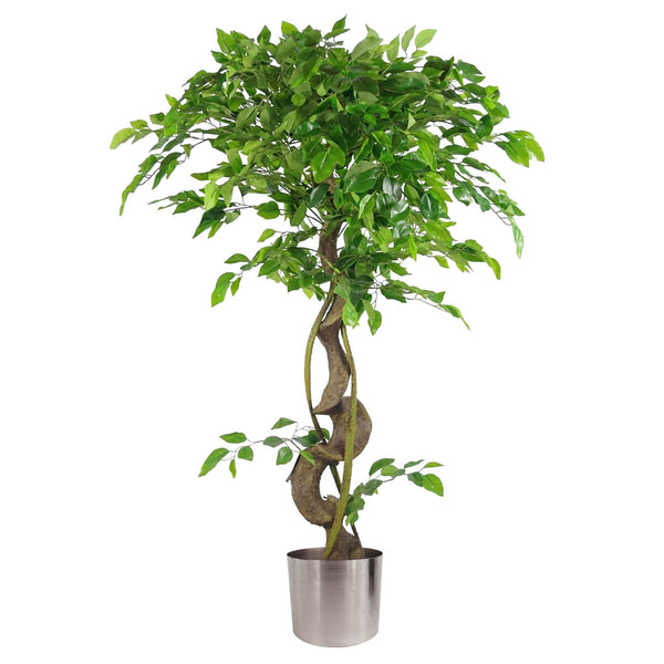 Large Artificial Japanese Fruticosa Ficus Tree Silver 120cm 4ft Realistic Botanik