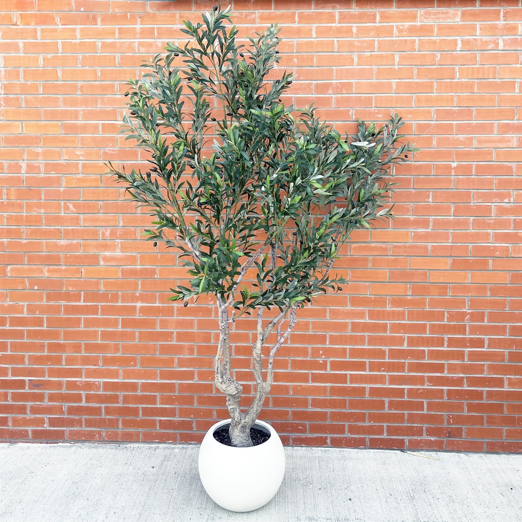 250cm XXL Artificial Olive Tree with Decorative Planter - Premium Quality