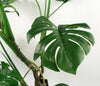 Artificial Monstera Cheese Plant 160cm