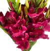 Pack of 6 x 115cm Artificial Pink Gladioli Stem