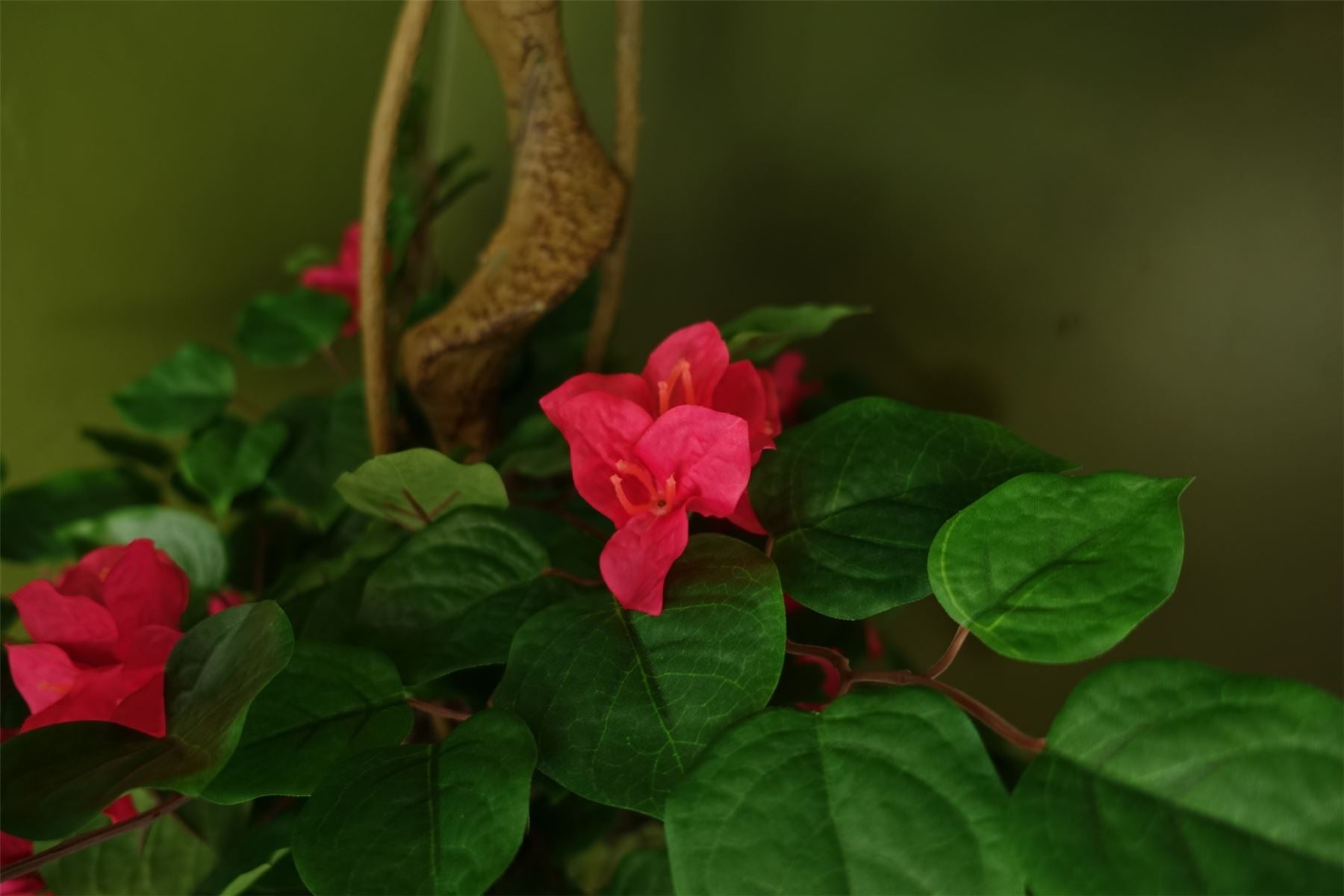 Large Japanese Artificial Tree Silk Bougainvillea Tree Botanik