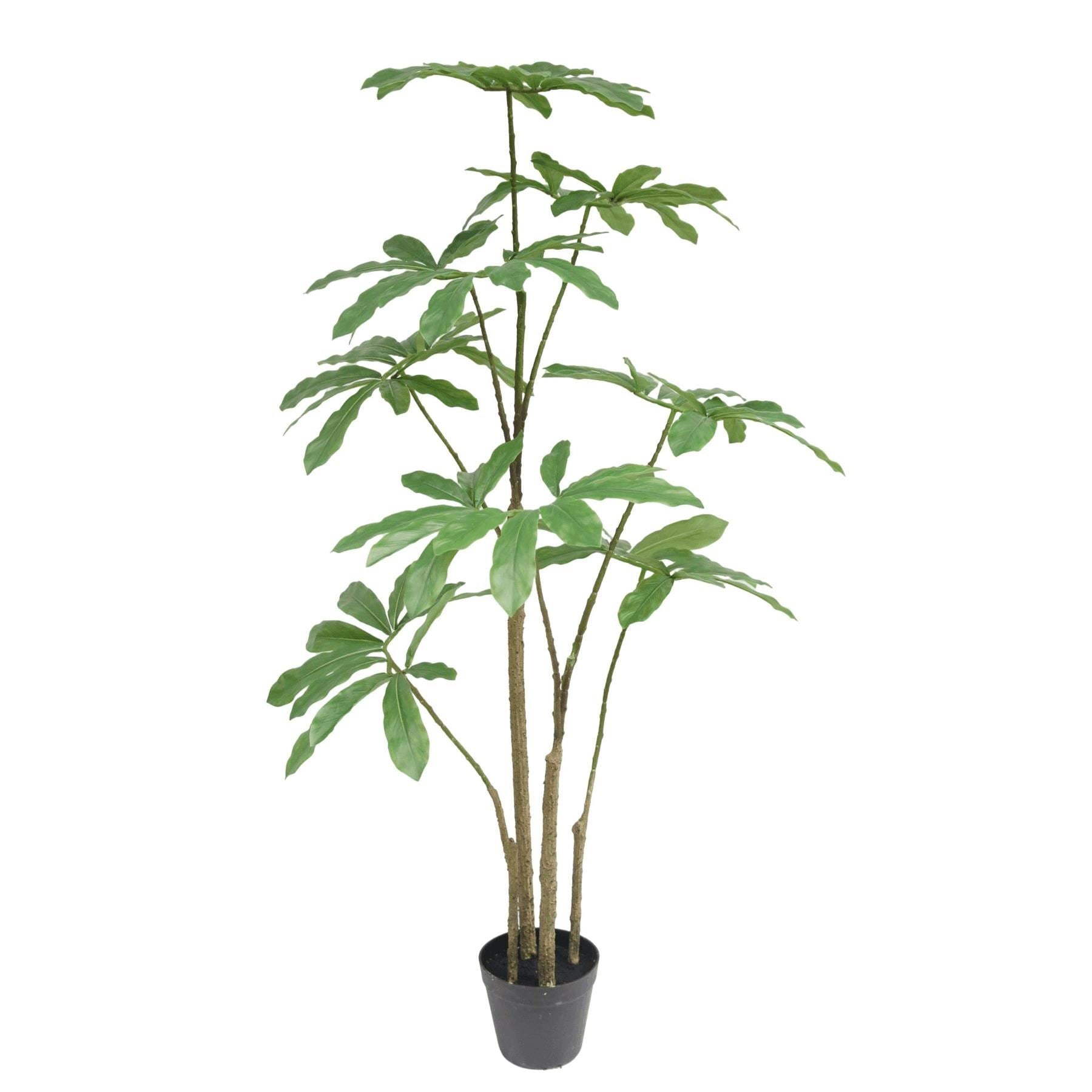 120cm Dwarf Umbrella Realistic Artificial Tree - Premium Quality