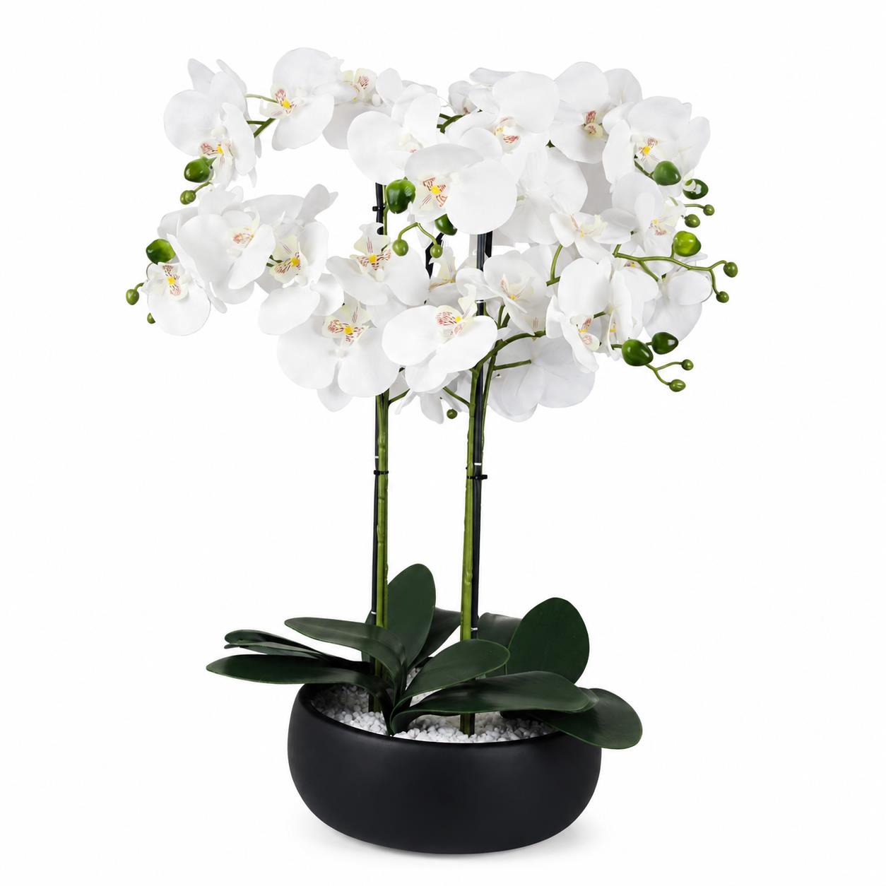 Orchid Artificial White Black Ceramic Planter Botanik