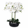 Orchid Artificial White Black Ceramic Planter Botanik