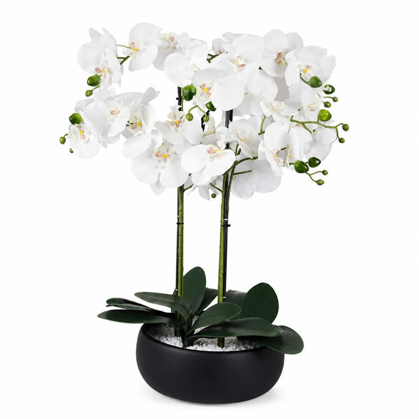 Orchid Artificial White Black Ceramic Planter Botanik