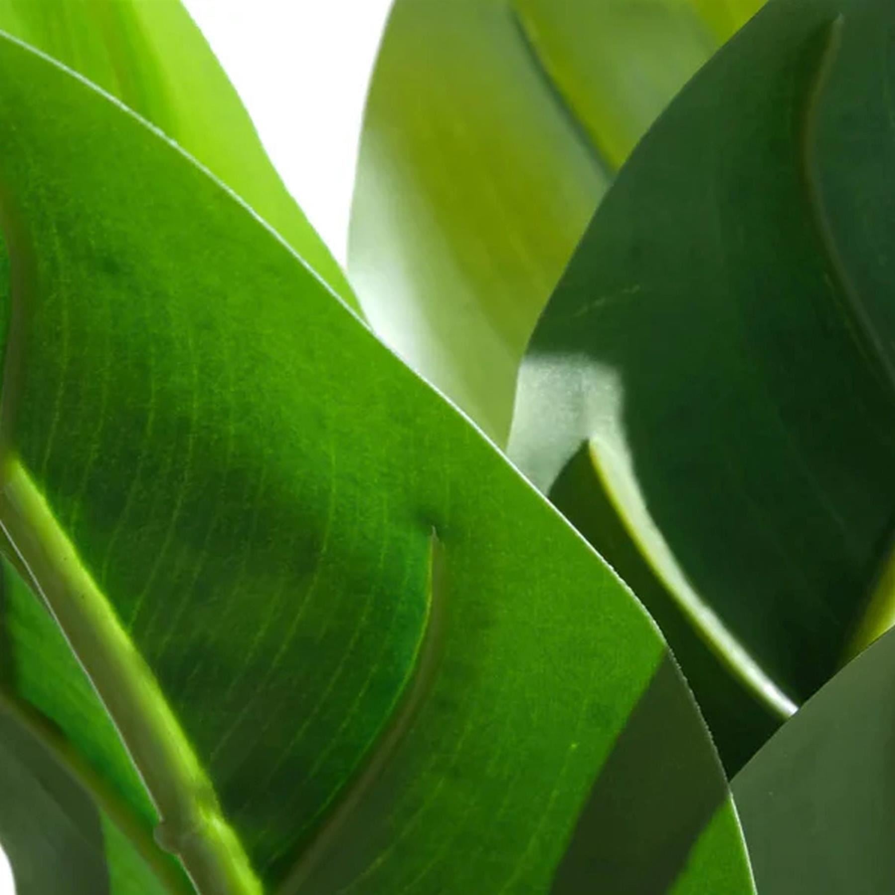 Pack of 6 x 45cm Artificial Aureum Plant - Premium Quality