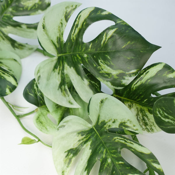 Artificial Hanging Plant Variegated Monstera Plant Pack x 6