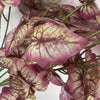 Pack of 6 x 85cm Artificial Purple Leaf Foliage