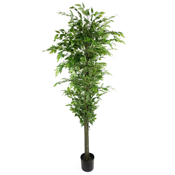 Artificial Ficus Tree Realistic - HUGE 180cm 6FT