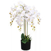 Artificial Deluxe Bush Orchid White 85cm Bush Orchid Lots Flowers