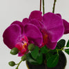 Artificial Orchid Glazed Planter Dark Pink Glazed Planter 65cm