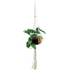 Hanging Artificial Plant Planter