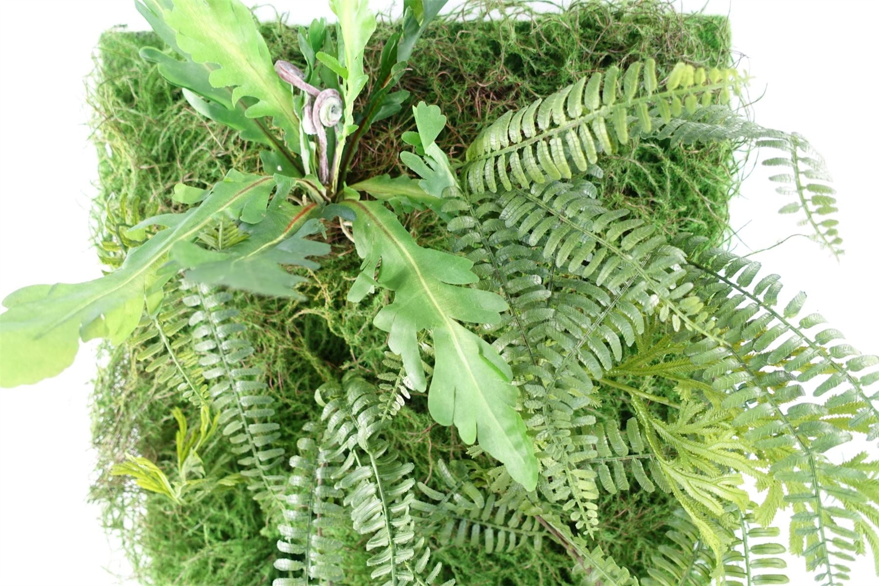 Artificial Green Wall Fern