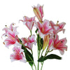 Artificial Flowers Lily Plant Pink Bare Stem 60cm Pack 12