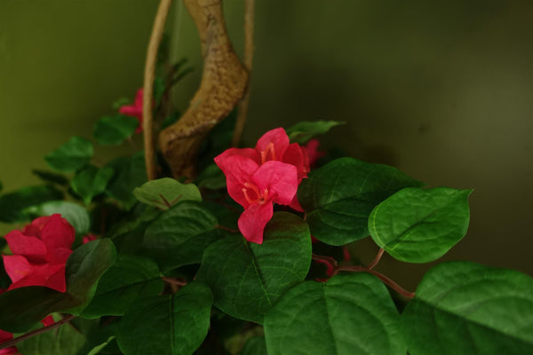 Pink Artificial Silk Tree Blossom Bougainvillea Japanese Tree