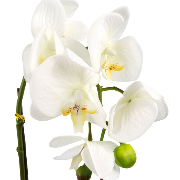 Artificial Orchid Dark White Silver 46cm