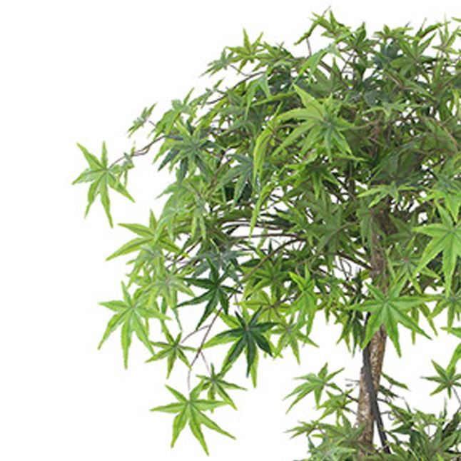 Artificial Foliage Plant Tree Pot 150cm Japanese Maple 150cm