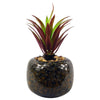 Artificial Plant Ceramic Planter Spotted Office Desk Plant Red Dracaena 18cm