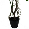 Artificial Monstera Plant Twisted Cheese Plant 90cm UK