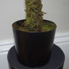 Artificial Fern Plant Pot Fern Tree 65cm Realistic Faux House Plants