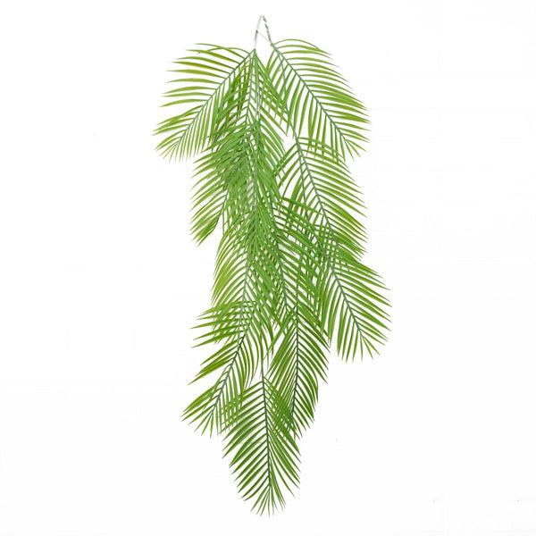 Palm fern on sale