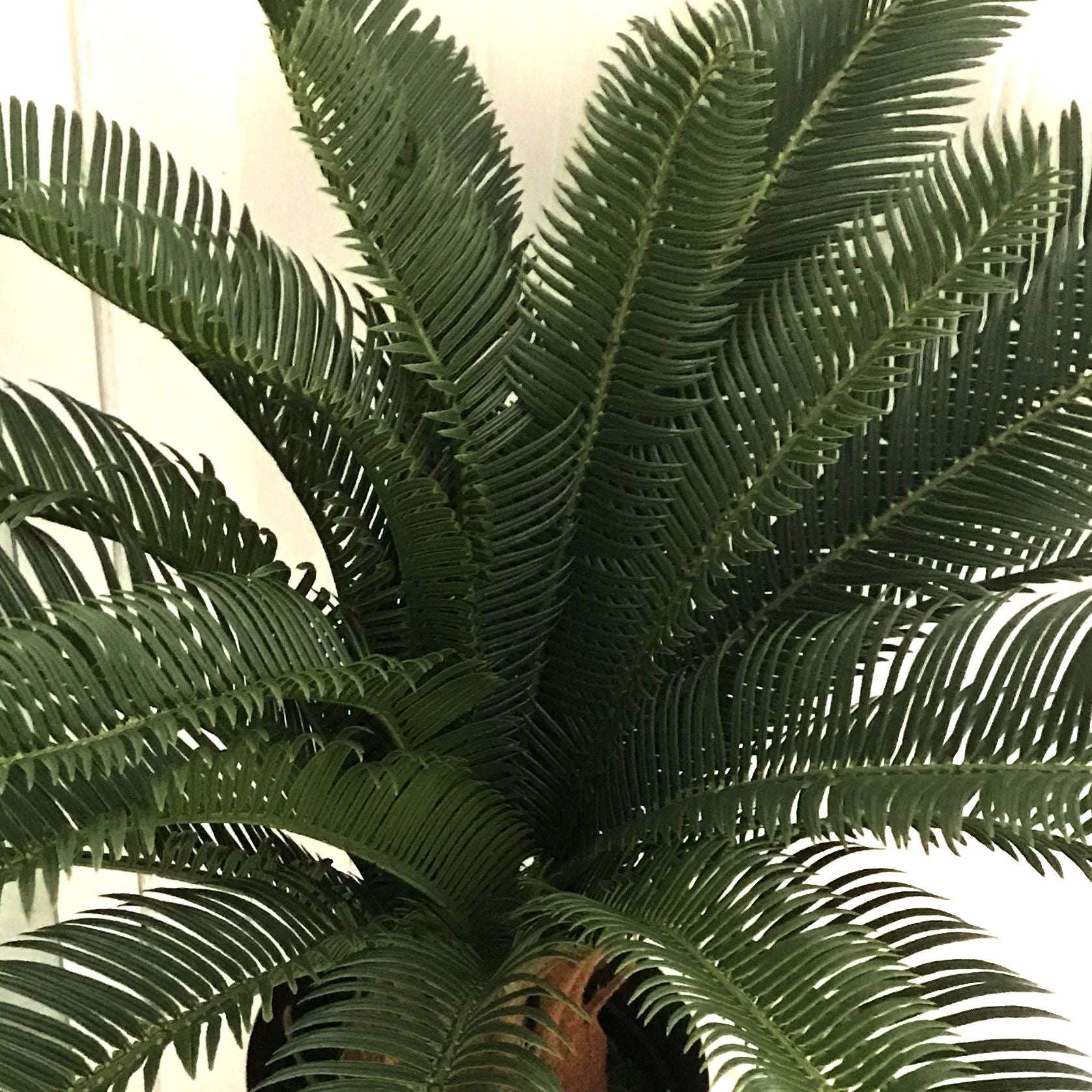 Artificial Palm Tree 70cm Cycas Plant UK Premium