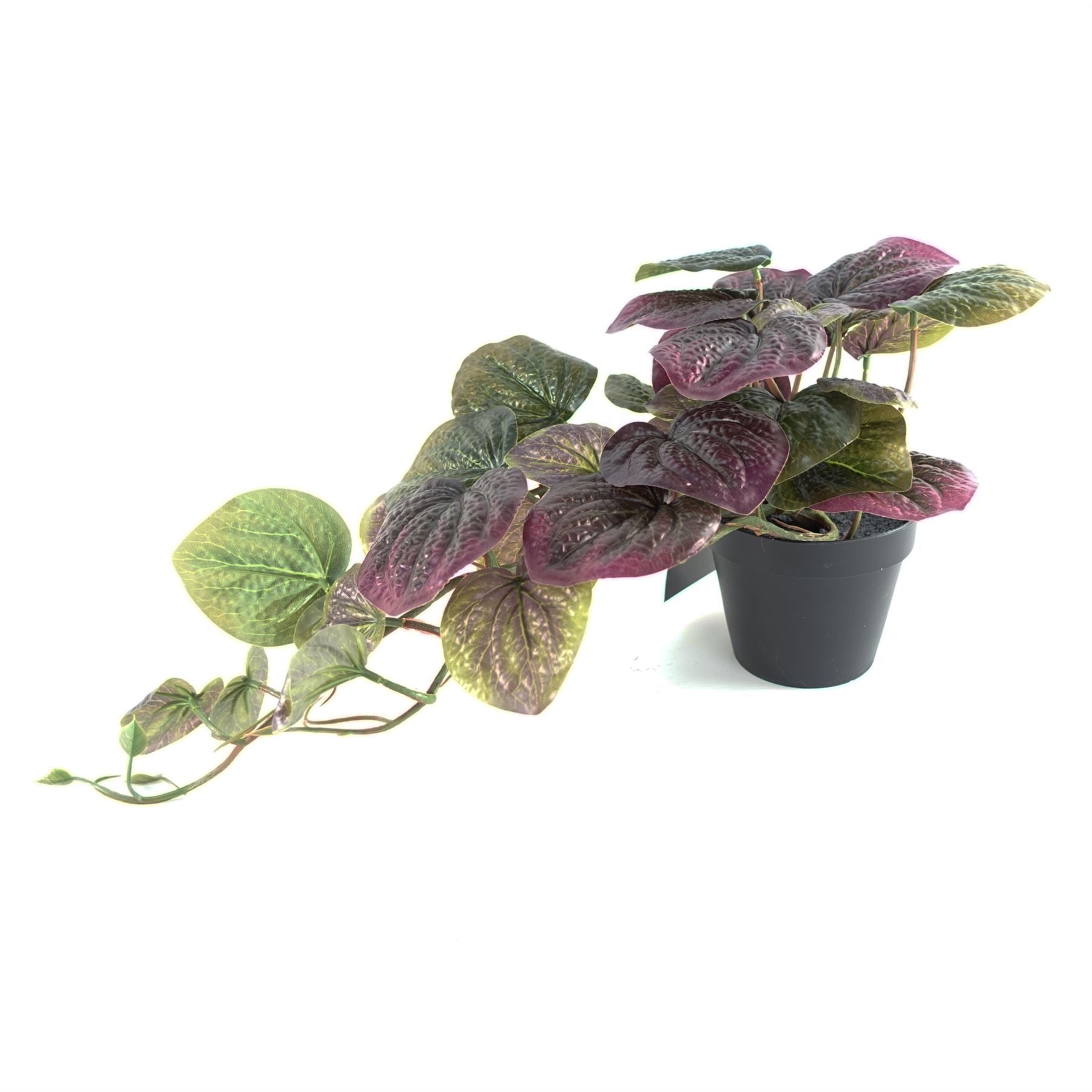 Artificial Trailing Purple Pothos Plant