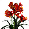 Artificial Amarylis Plant Flowers Plant Orange