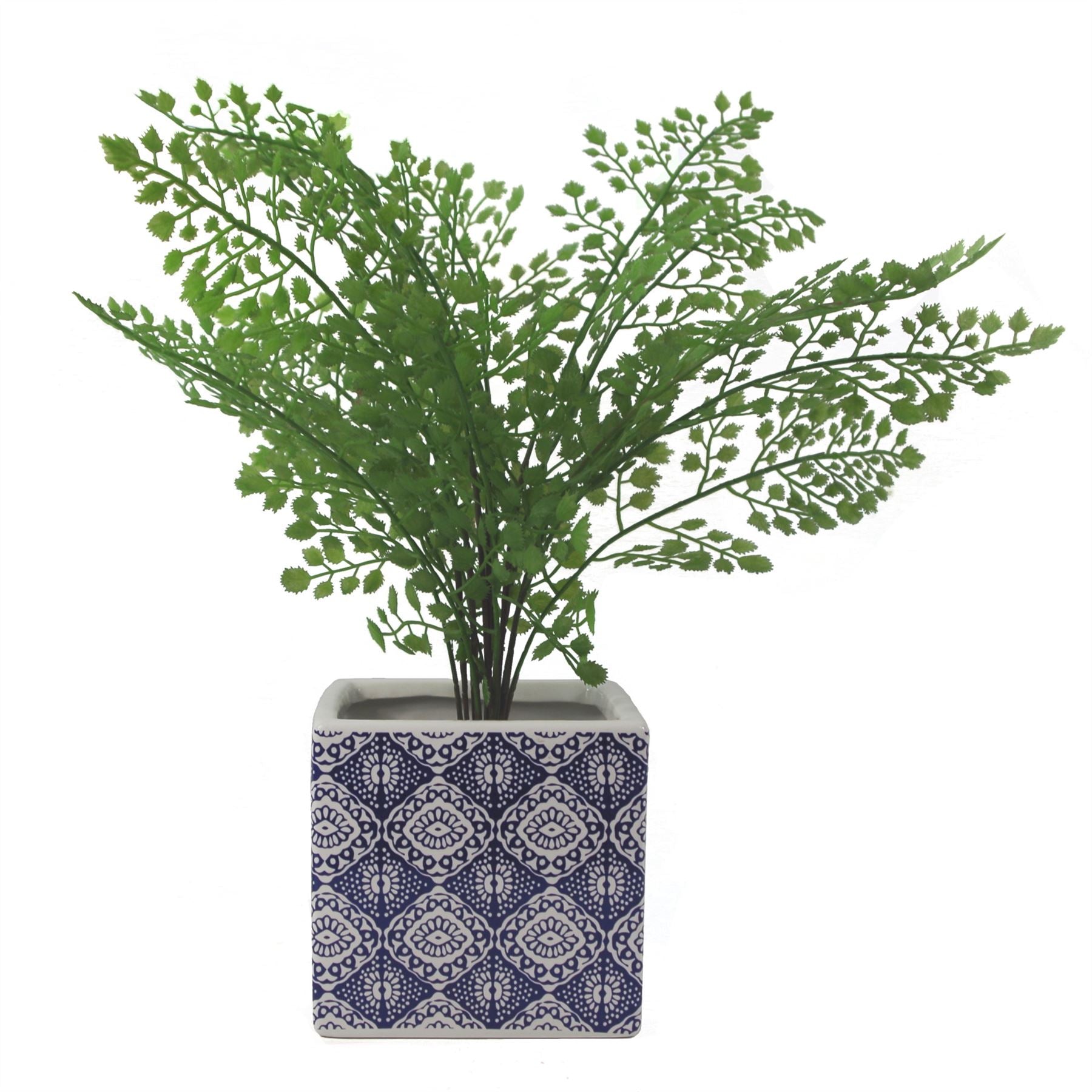 Ceramic Cube Planter Print Blue Eye Plant Pot