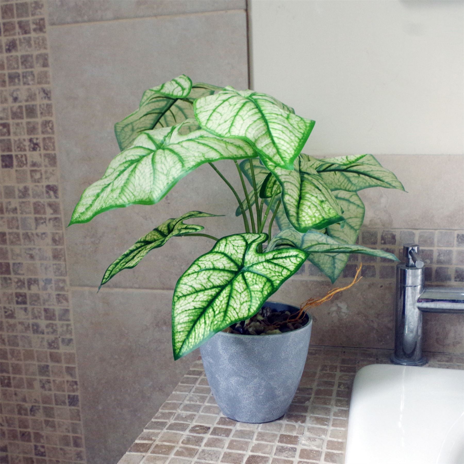 Artificial Taro Plant in Decorative Planter 40cm