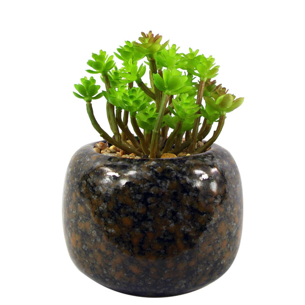 Artificial Plant Ceramic Planter Desk Plant Sedum Clavatum 14cm